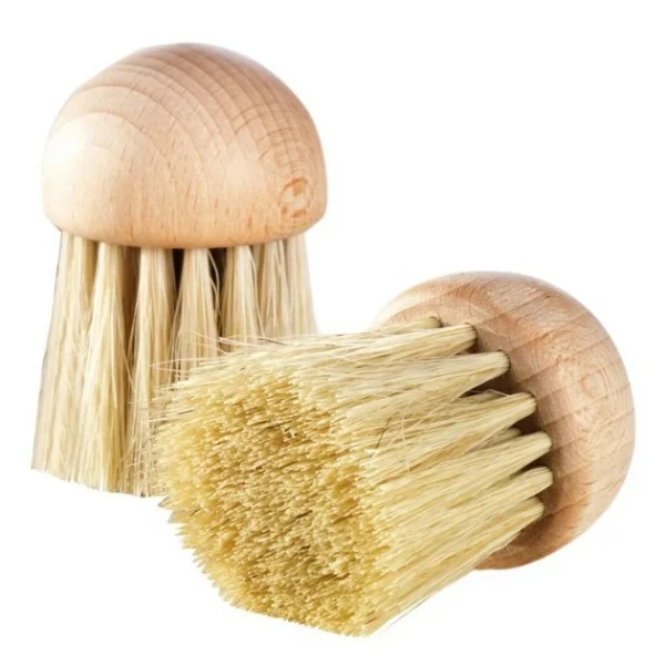 Protections acheteurs Vente flash 🛒 Brosse à champignons YooCook 4 cm 🔔 1